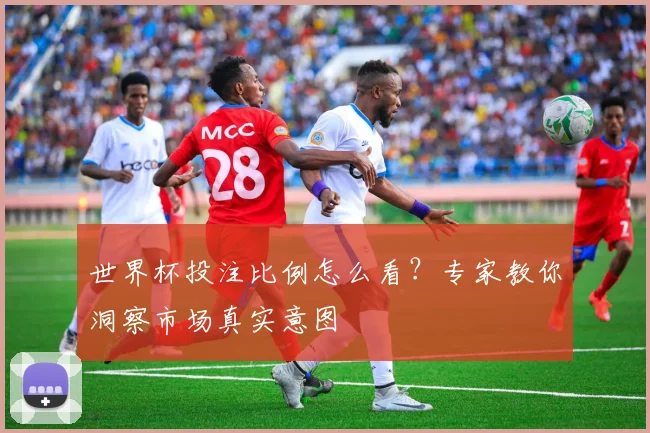 世界杯投注比例怎么看？专家教你洞察市场真实意图