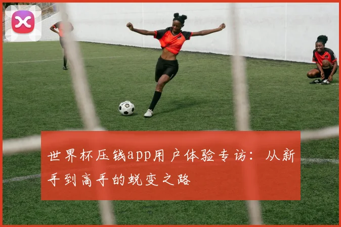 世界杯压钱app用户体验专访：从新手到高手的蜕变之路