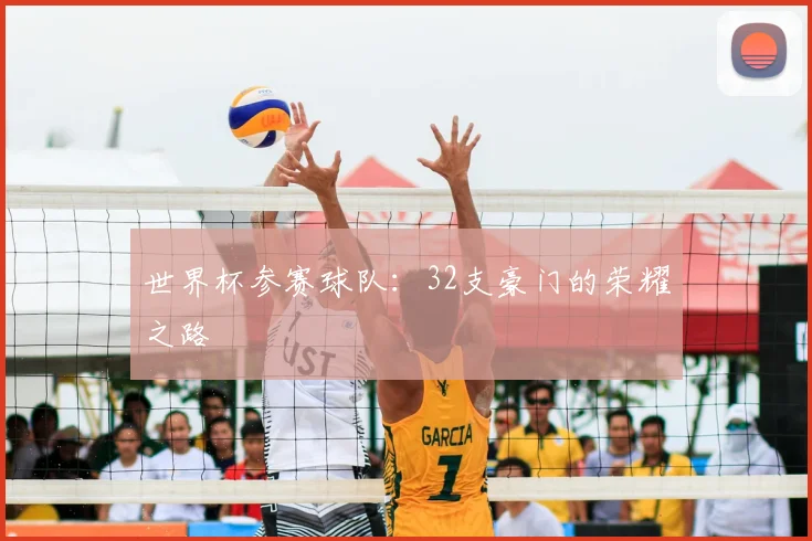 世界杯参赛球队：32支豪门的荣耀之路