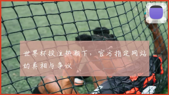 世界杯投注热潮下，官方指定网站的真相与争议