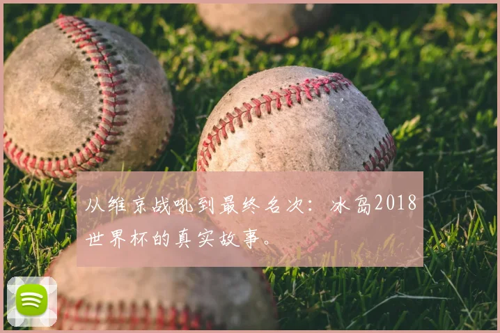 从维京战吼到最终名次：冰岛2018世界杯的真实故事。