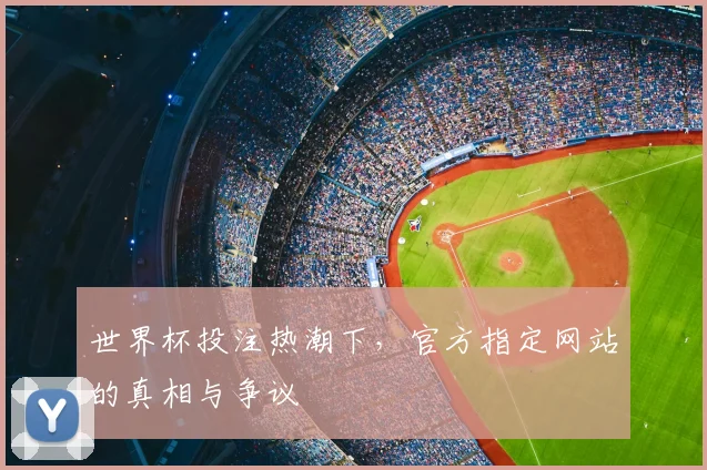 世界杯投注热潮下，官方指定网站的真相与争议