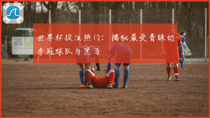 世界杯投注热门：揭秘最受青睐的夺冠球队与黑马