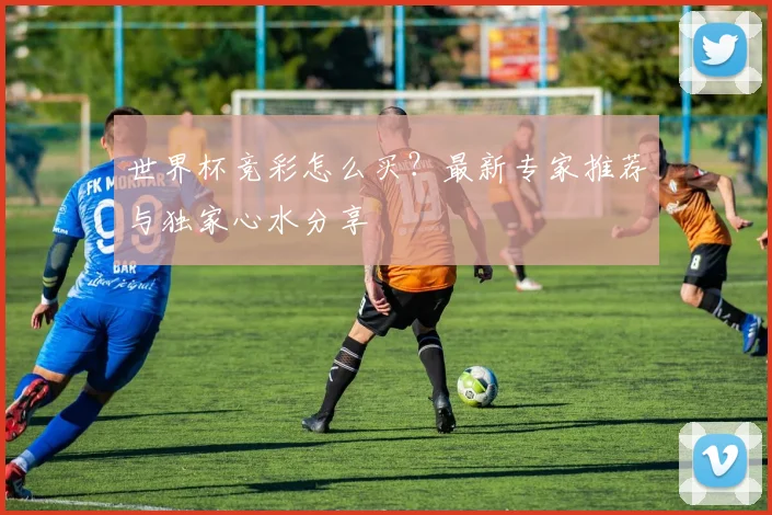 世界杯竞彩怎么买？最新专家推荐与独家心水分享